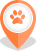 Pets & Animals